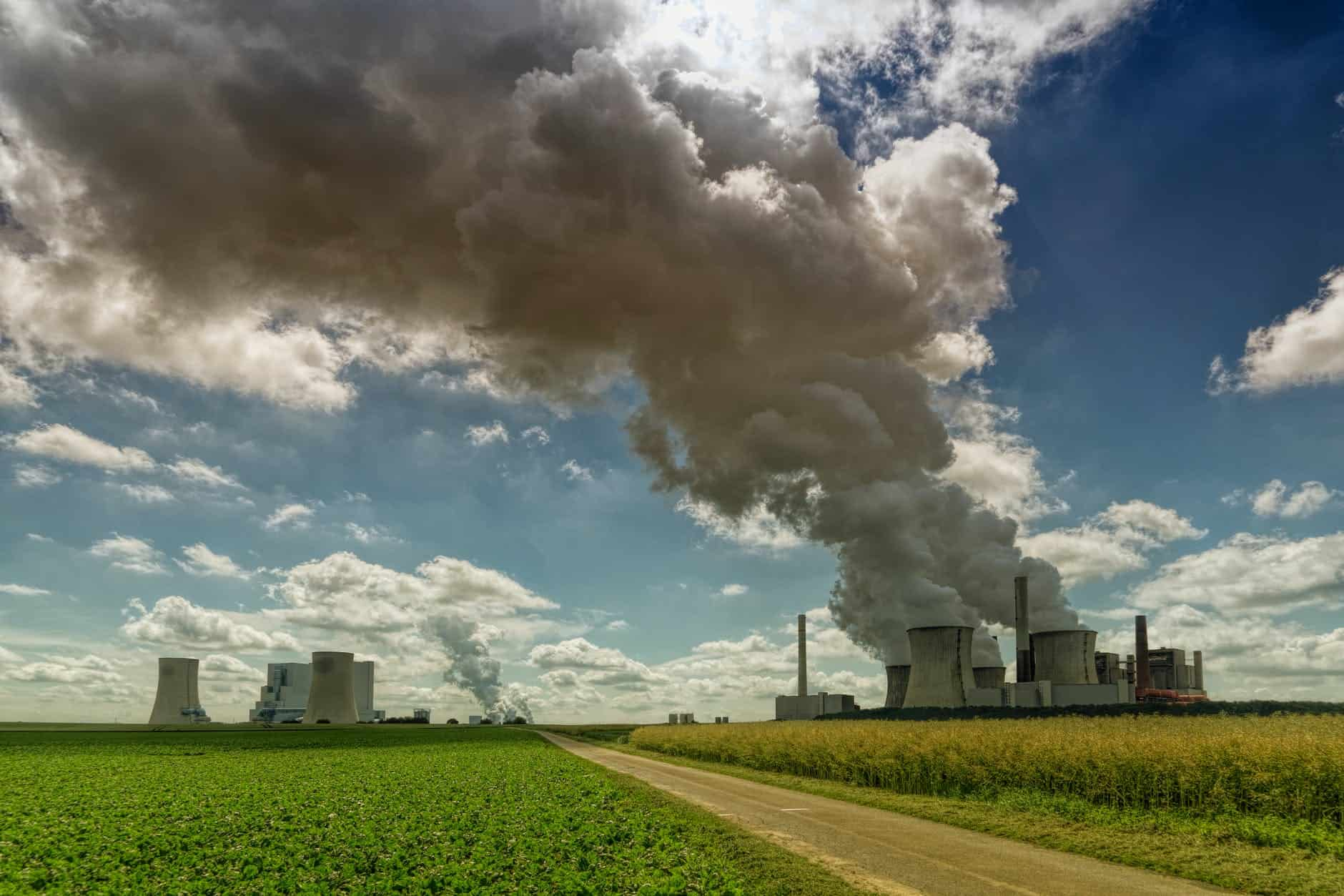 The Biology of Air Pollution Damage