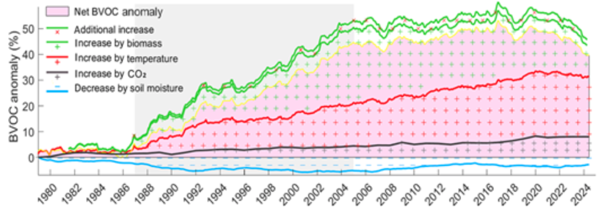 Chart of the net BVOC emission anomaly from 1980 to 2024