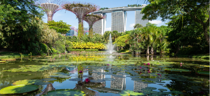 Gardens by the Bay in Singapore