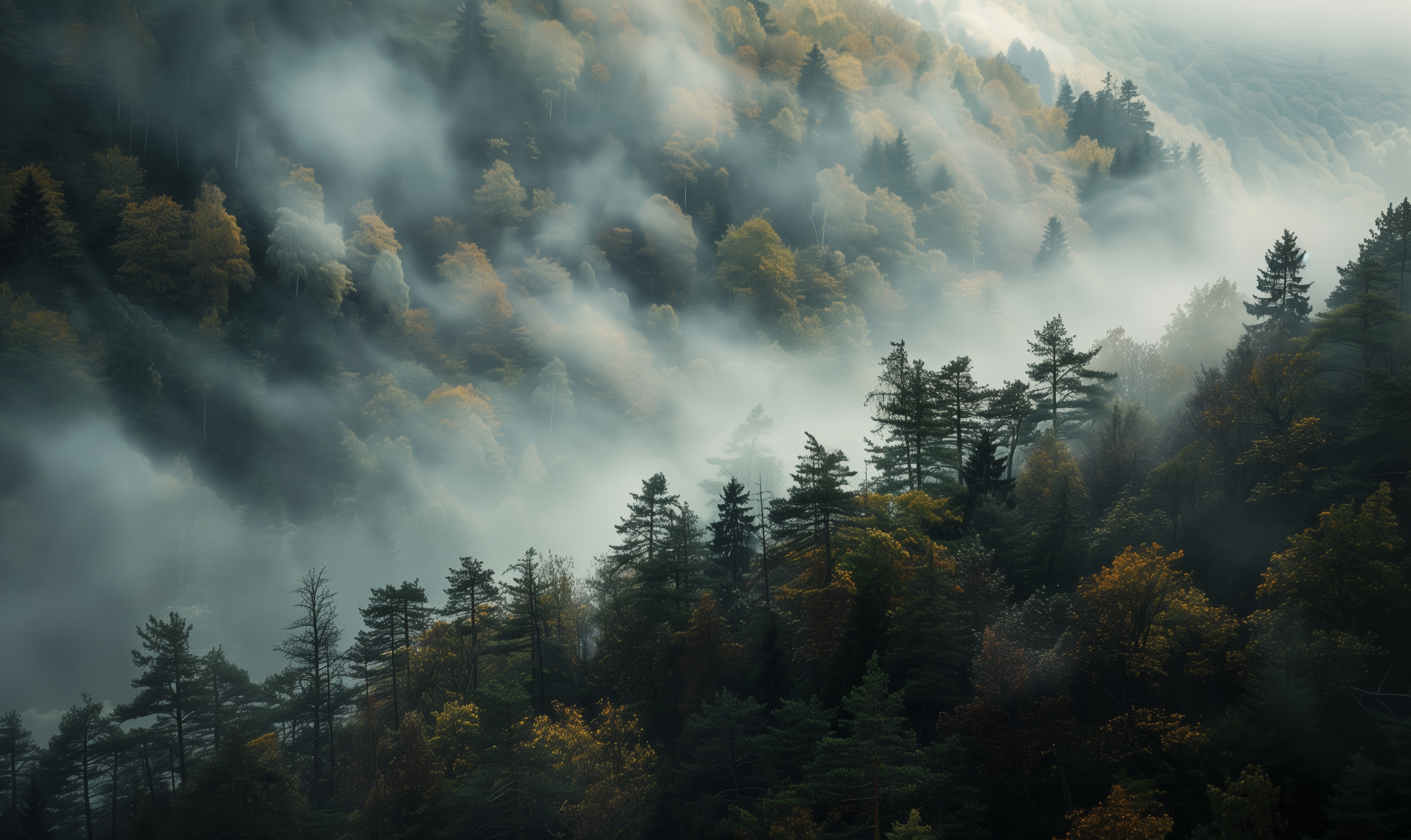 Environmental stewardship and community engagement